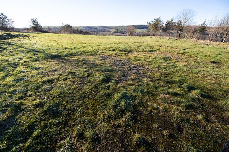 Shared Ownership (2.5 acres of land)