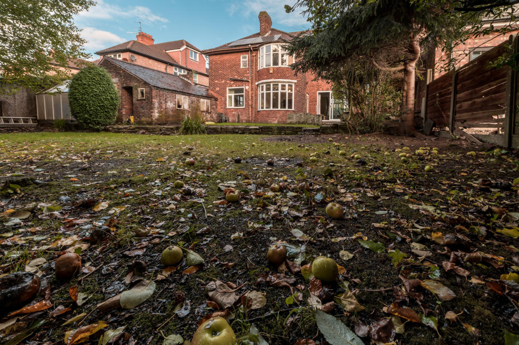 066_20251101 John Dillon House_DD1_6090-HDR.jpg