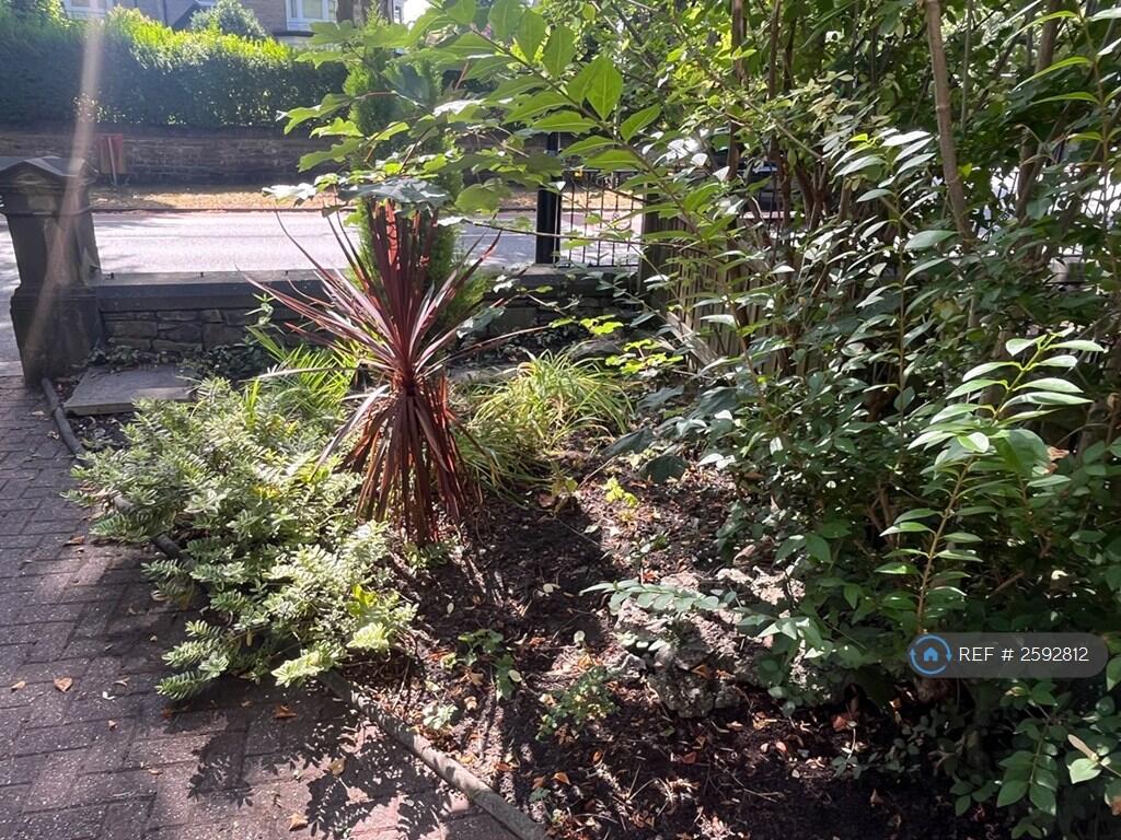 Front Garden
