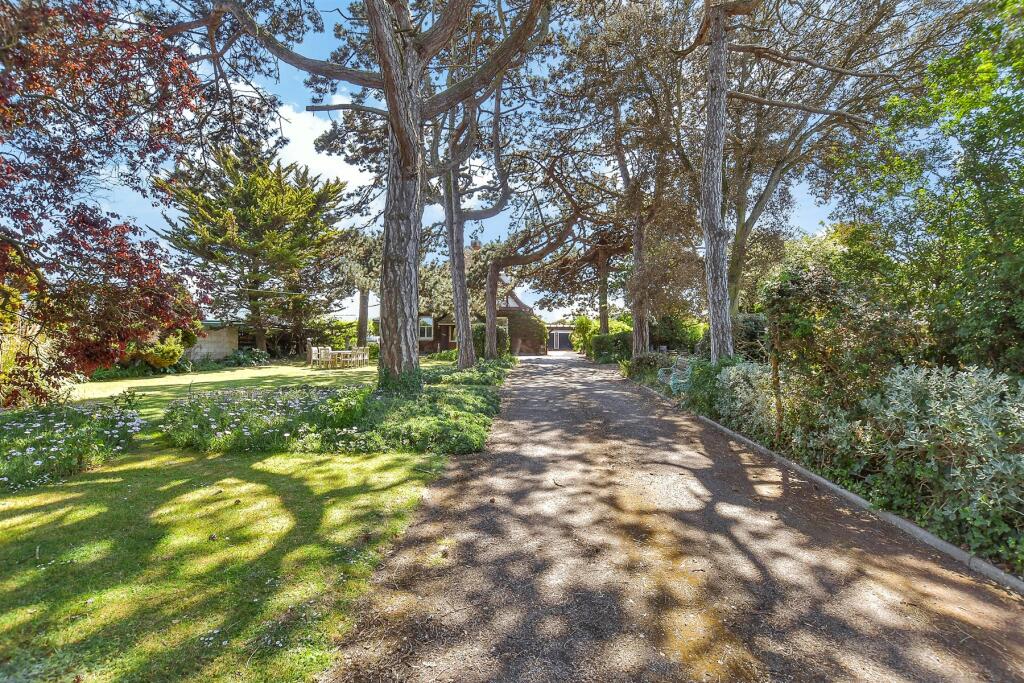 Driveway/Parking