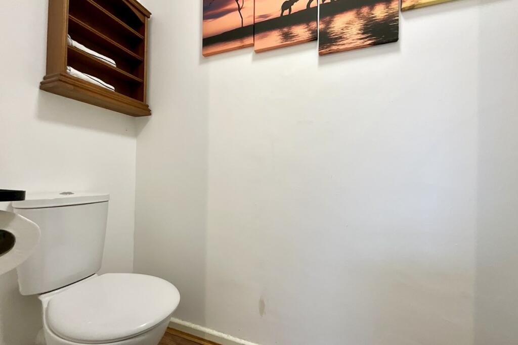 downstairs wc