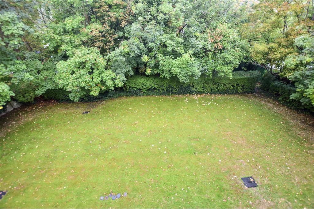 Communal Gardens