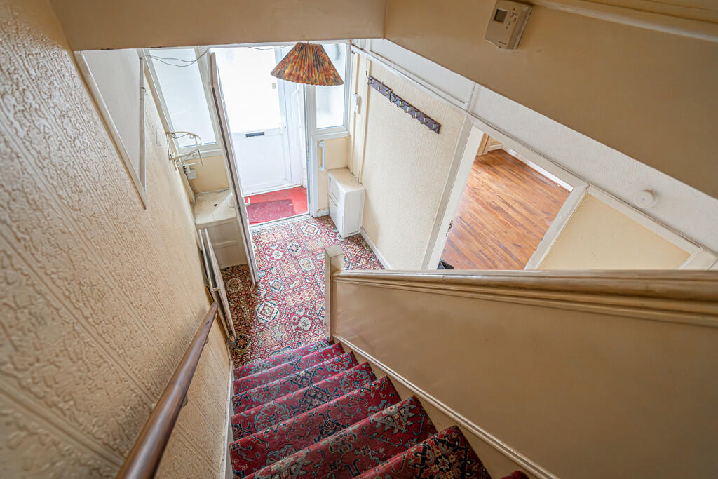 20250317-DSC03392...