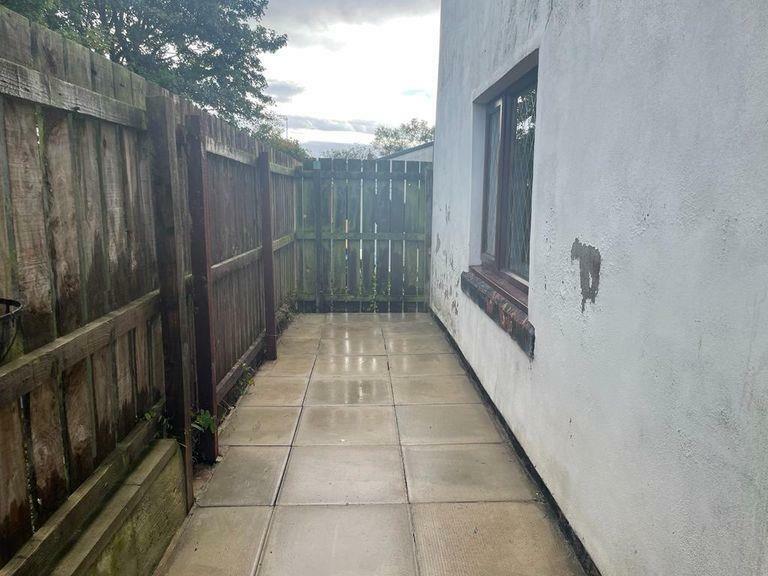 rear yard.jpg