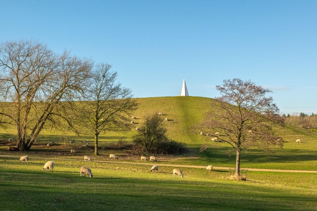 Nearby parkland