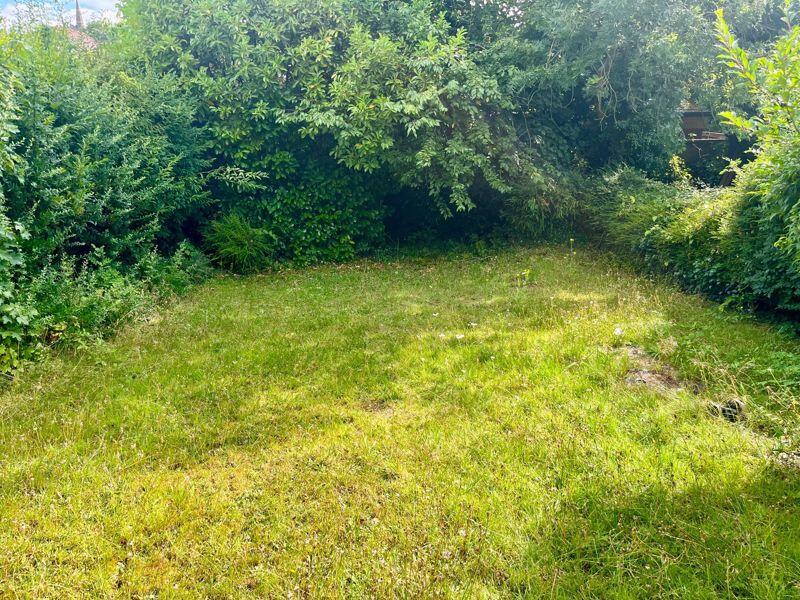 The Rear Garden