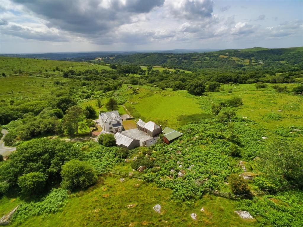 The Property