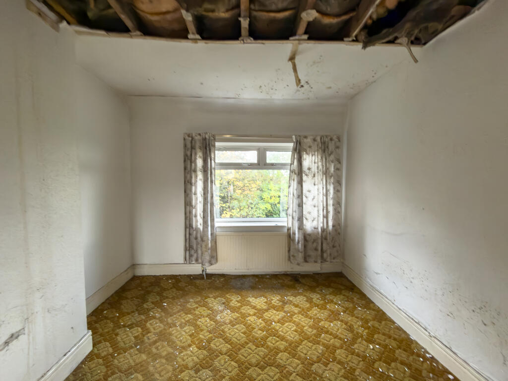 IMG 7075 4 T202511050959.jpg