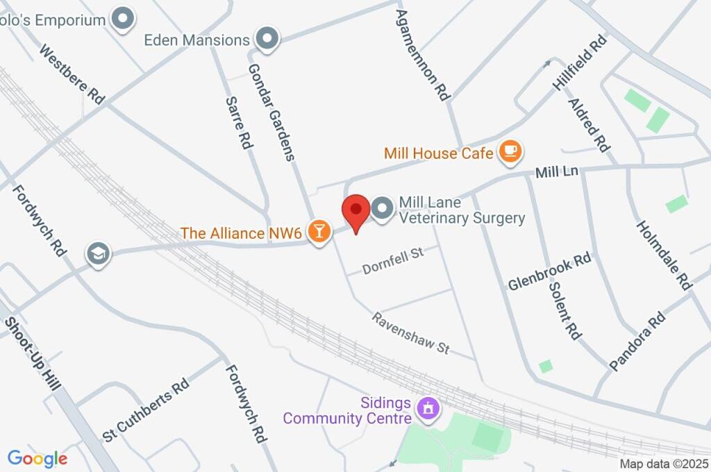 Google Maps Image