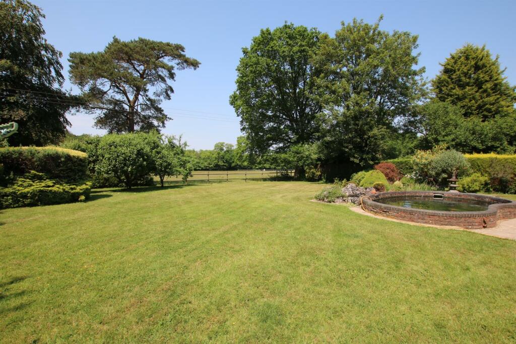 new rear garden.JPG