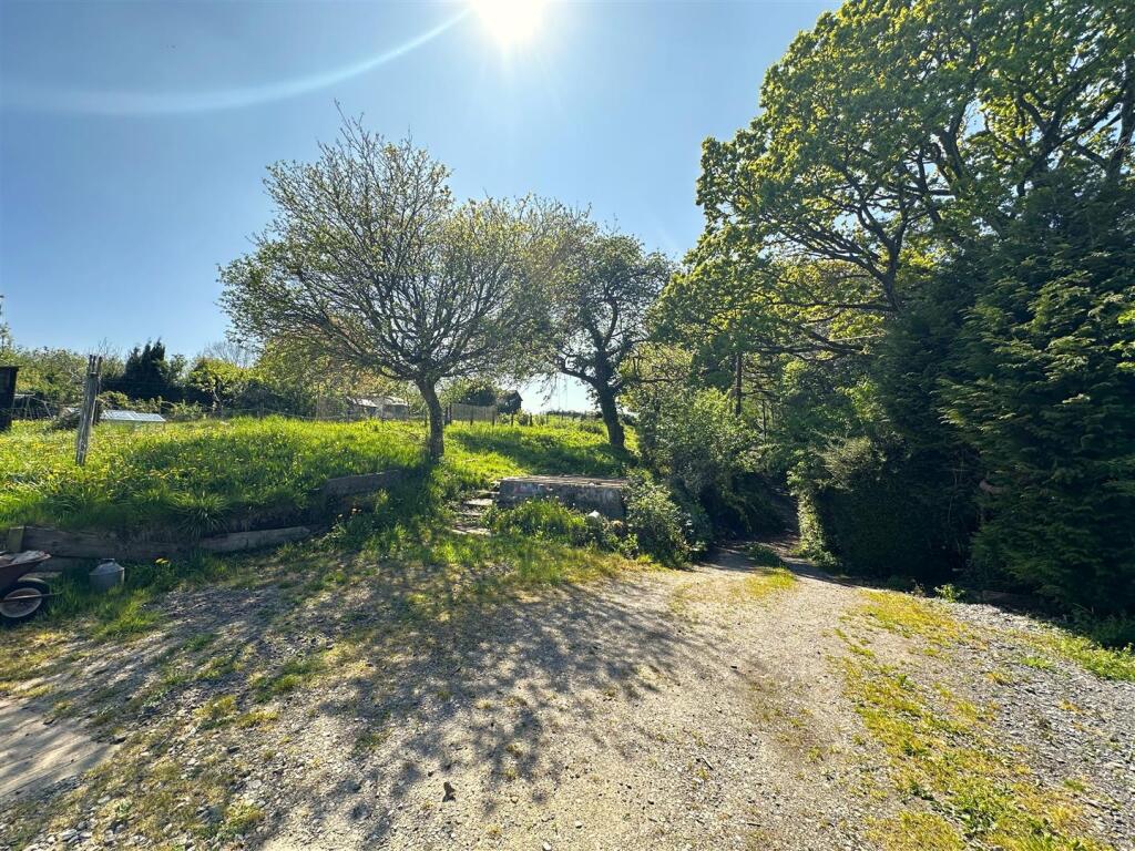 Garden and driveway