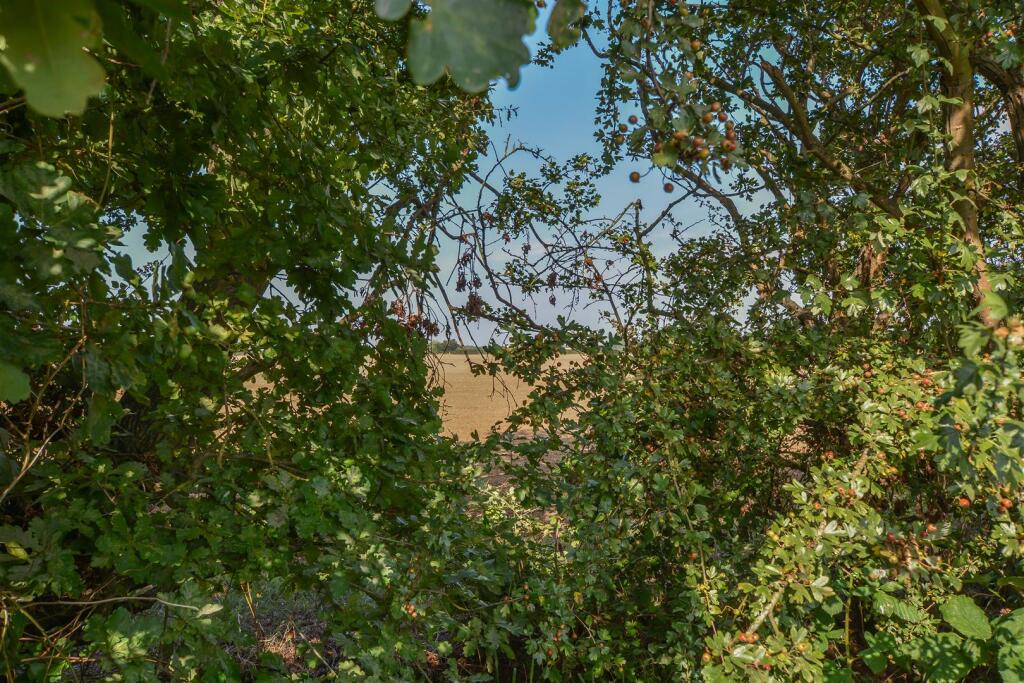 DSC_0941.jpg