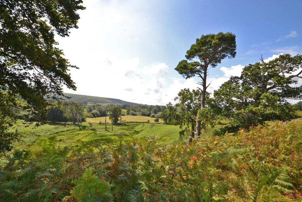 Parham Park