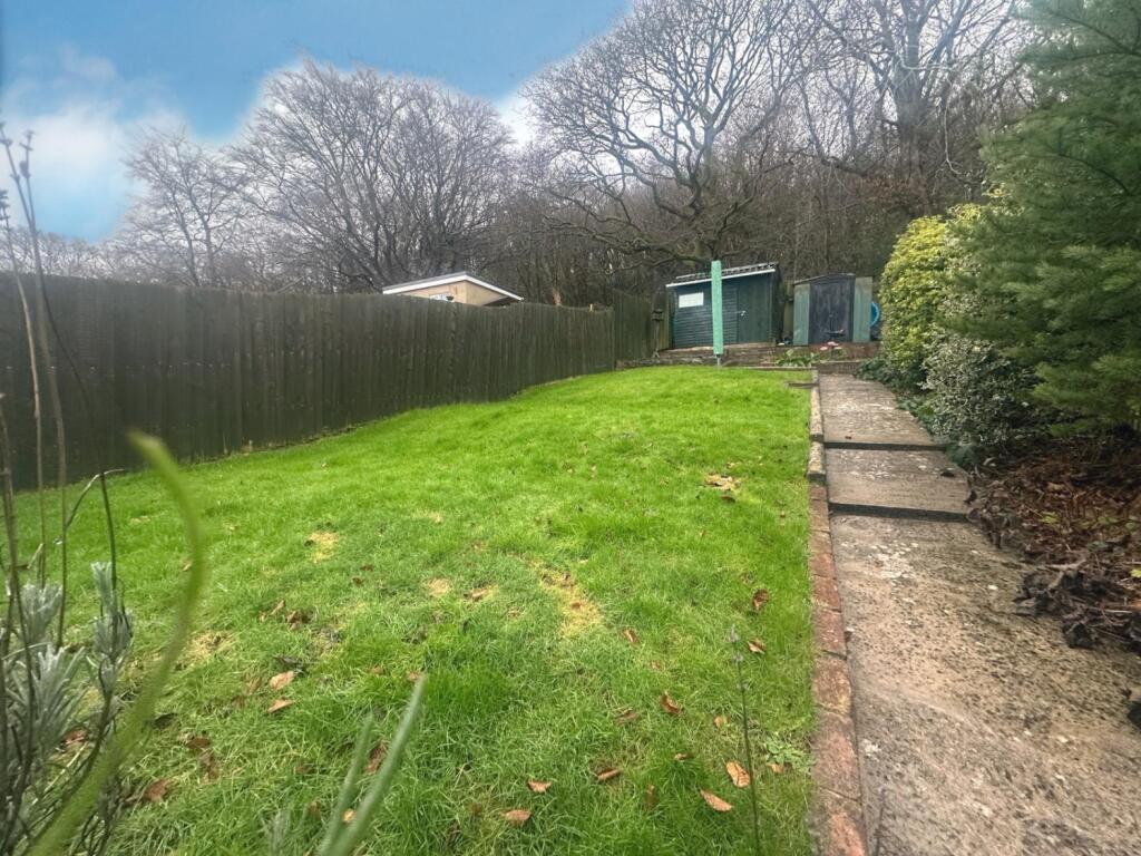 PHOTO-2025-01-23-17-55-05 26