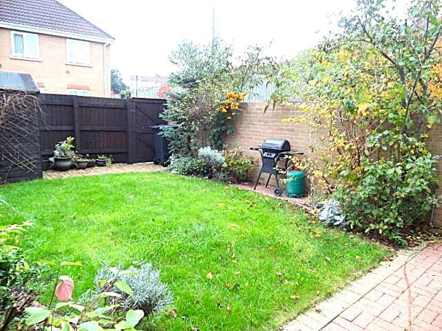Garden.jpg