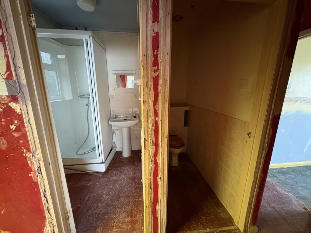 7  Medium  T202601080948.jpg