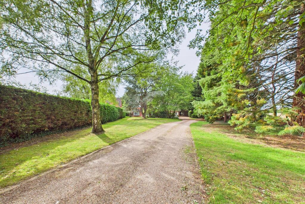 Driveway