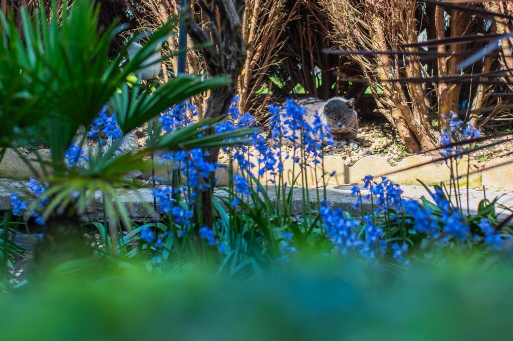 Award-winning Media team on EVERY Listing_20