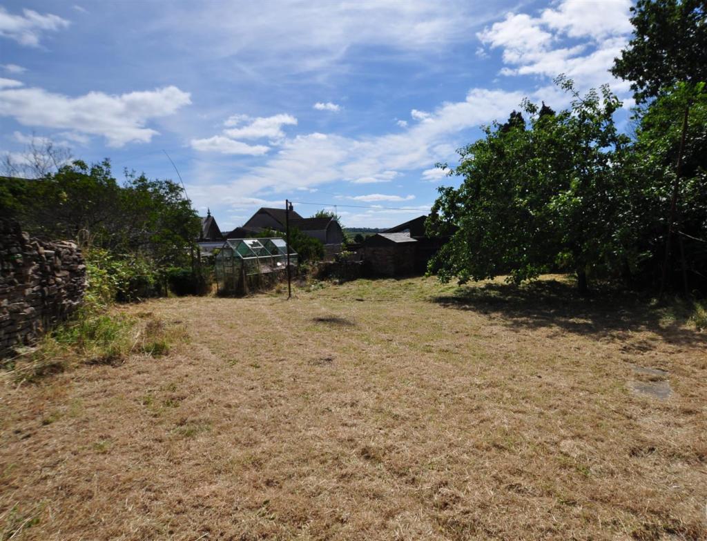 Garden.JPG