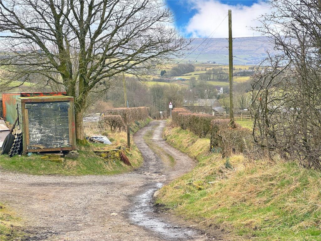The Lane