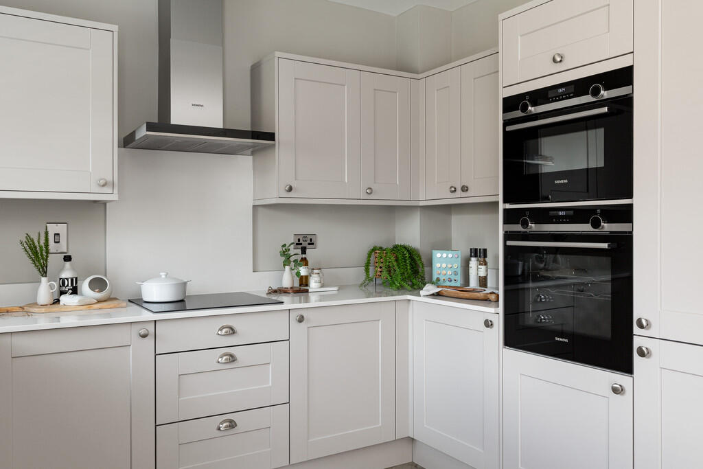 plot9knightsgreen...