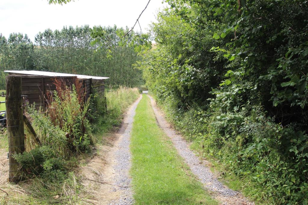 ACCESS LANE