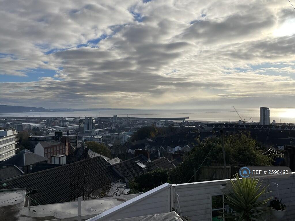 View From Yard