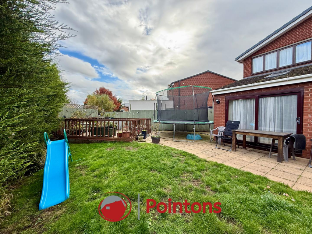 Logo image  (41).png