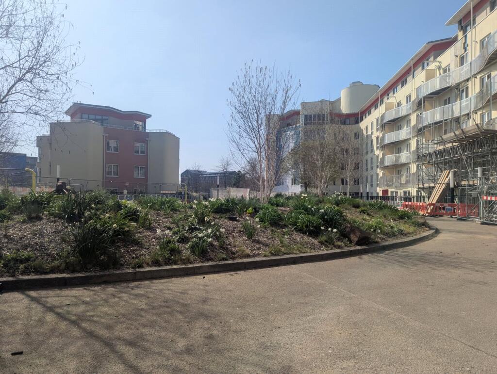 Communal Gardens