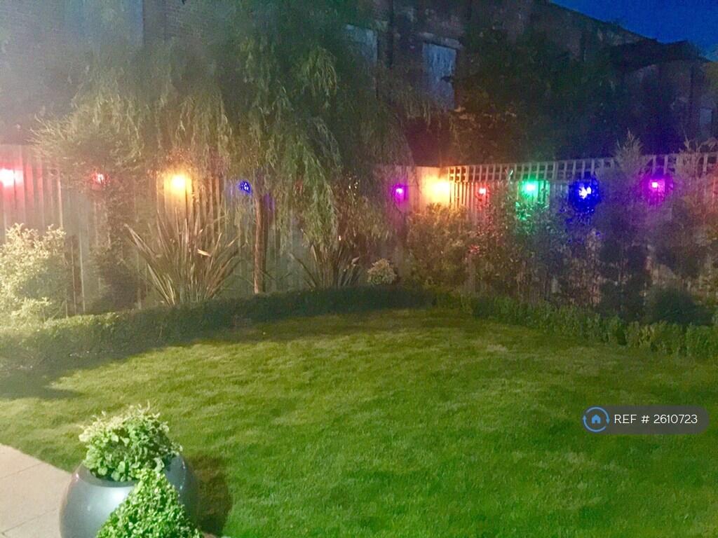 Back Garden Night