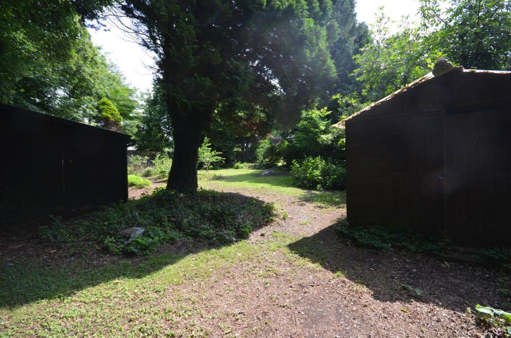 From the Bottom of the Garden