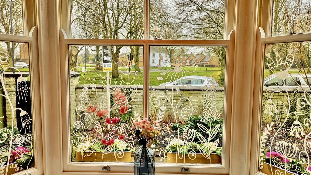 PXL_20250208_1124...