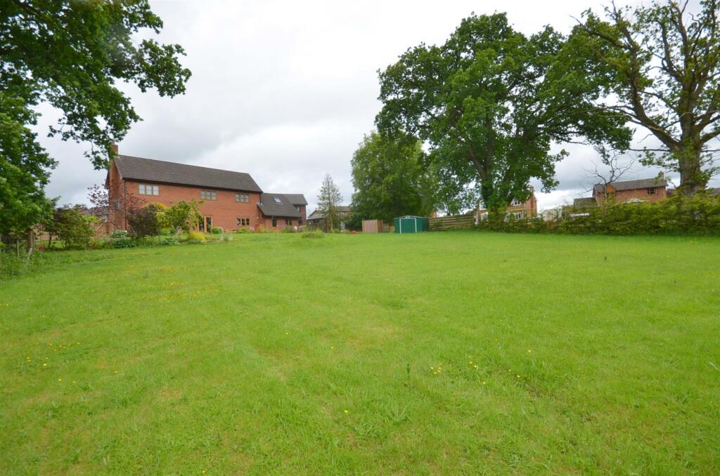1JA_7825.JPG