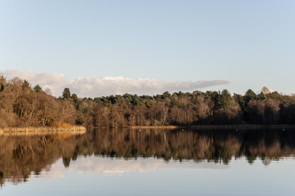 194986 - TMH_KOTO(FRITTON)-43.jpg