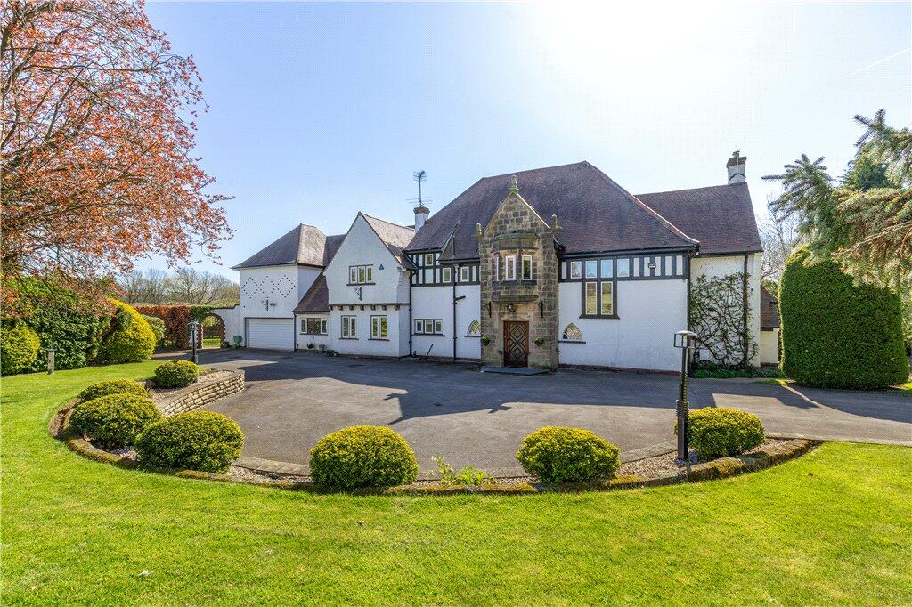 Character &amp; Detail