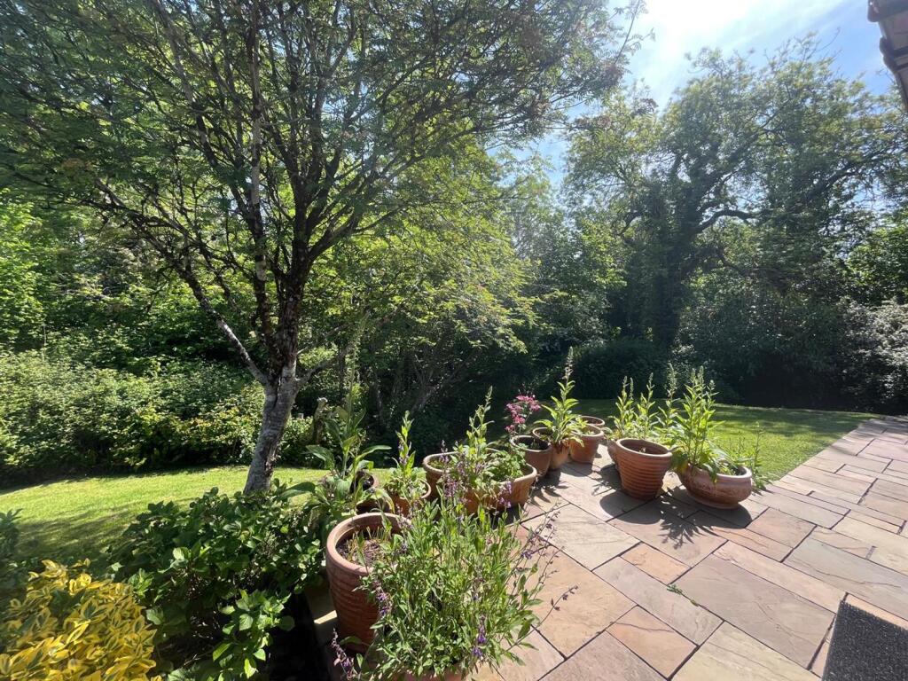 PHOTO-2025-05-16-12-00-54 2.jpg