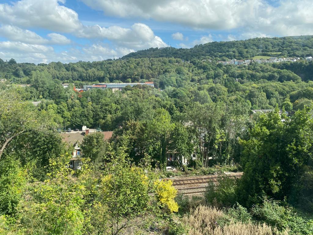 WhatsApp Image 2022-09-01 at 10.18.02 AM (7).jpeg