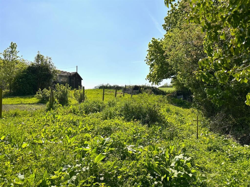 Garden 3