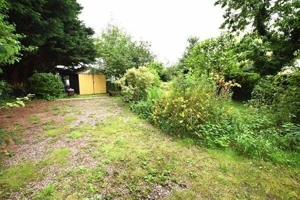 driveway &amp; garden