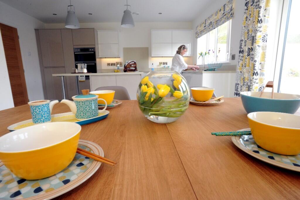 Previous Show Home