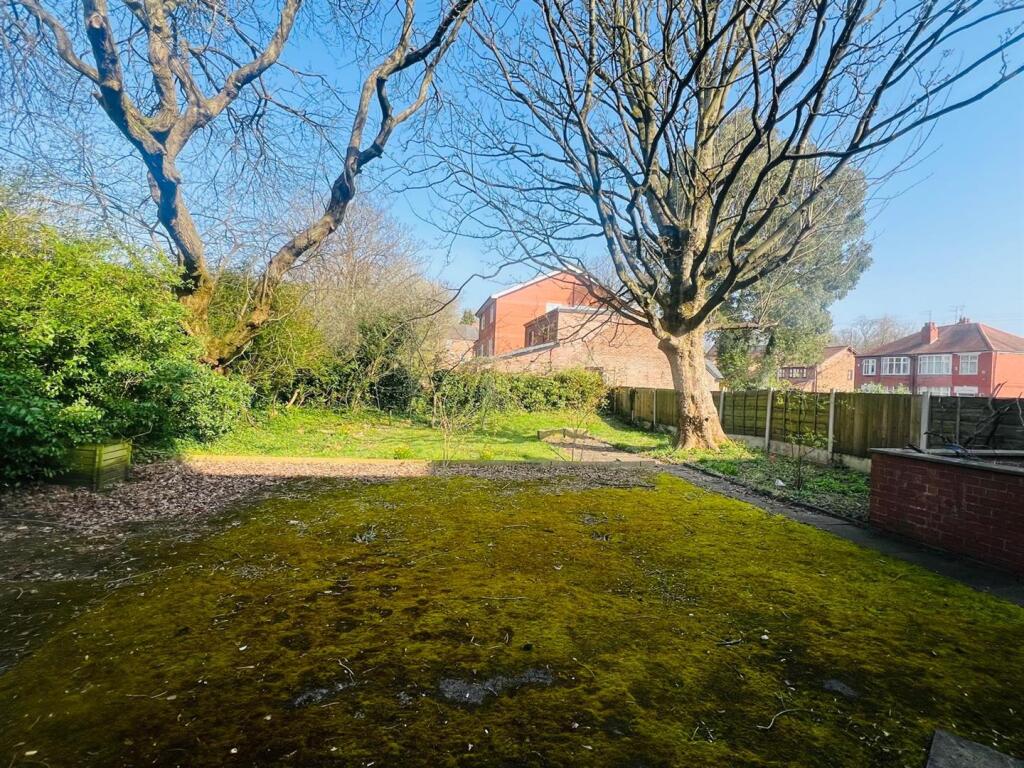 WhatsApp Image 2025-03-24 at 11.05.11 (2).jpeg