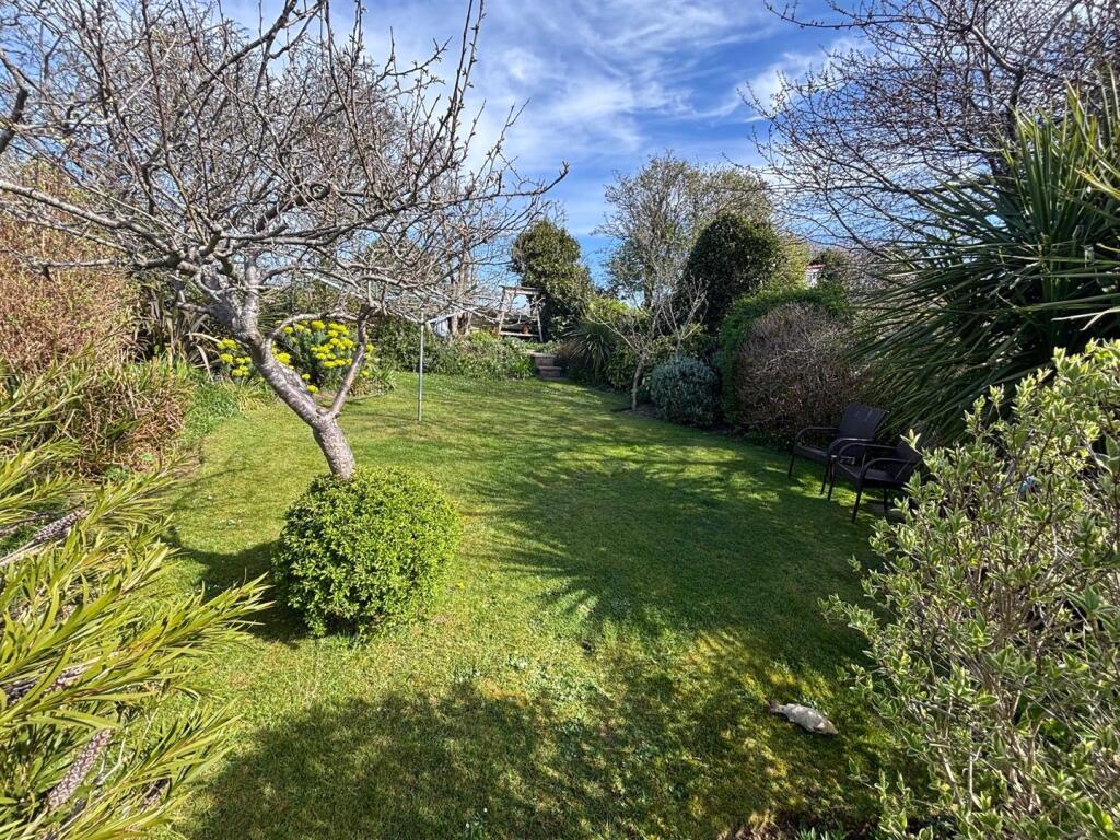 Rear Garden top.jpg