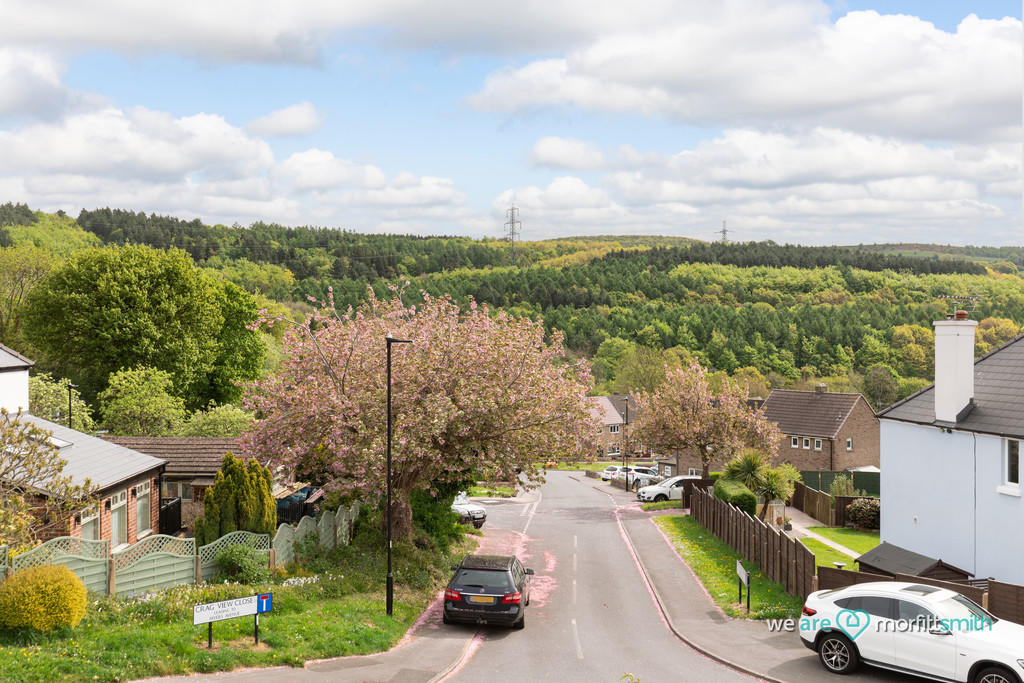 Road View