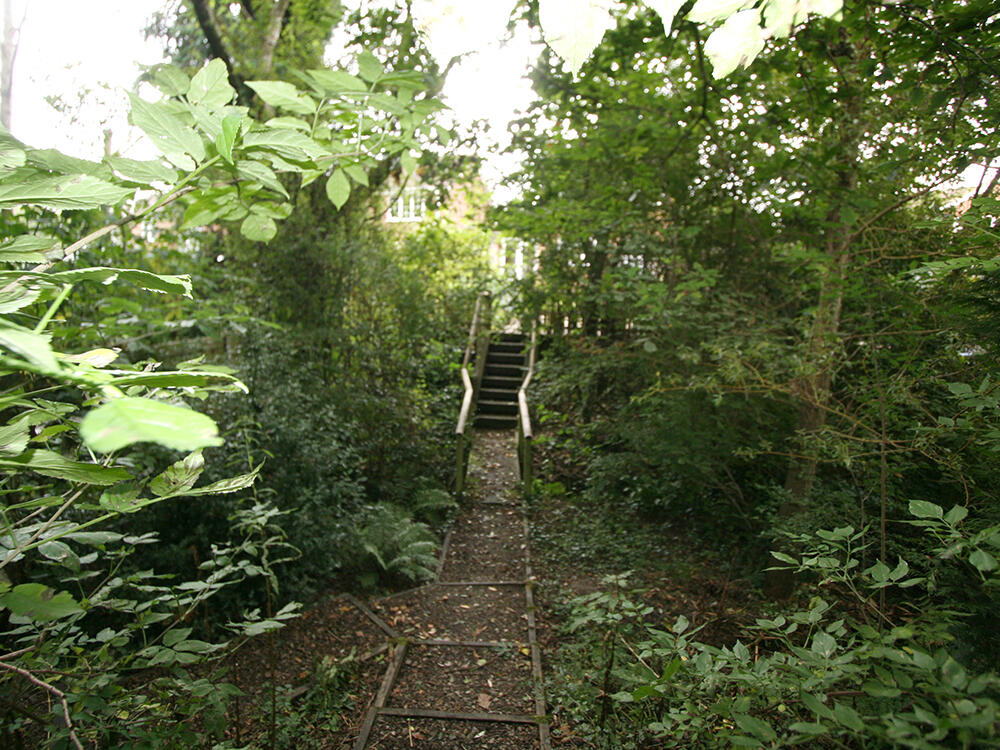 Woodlands2