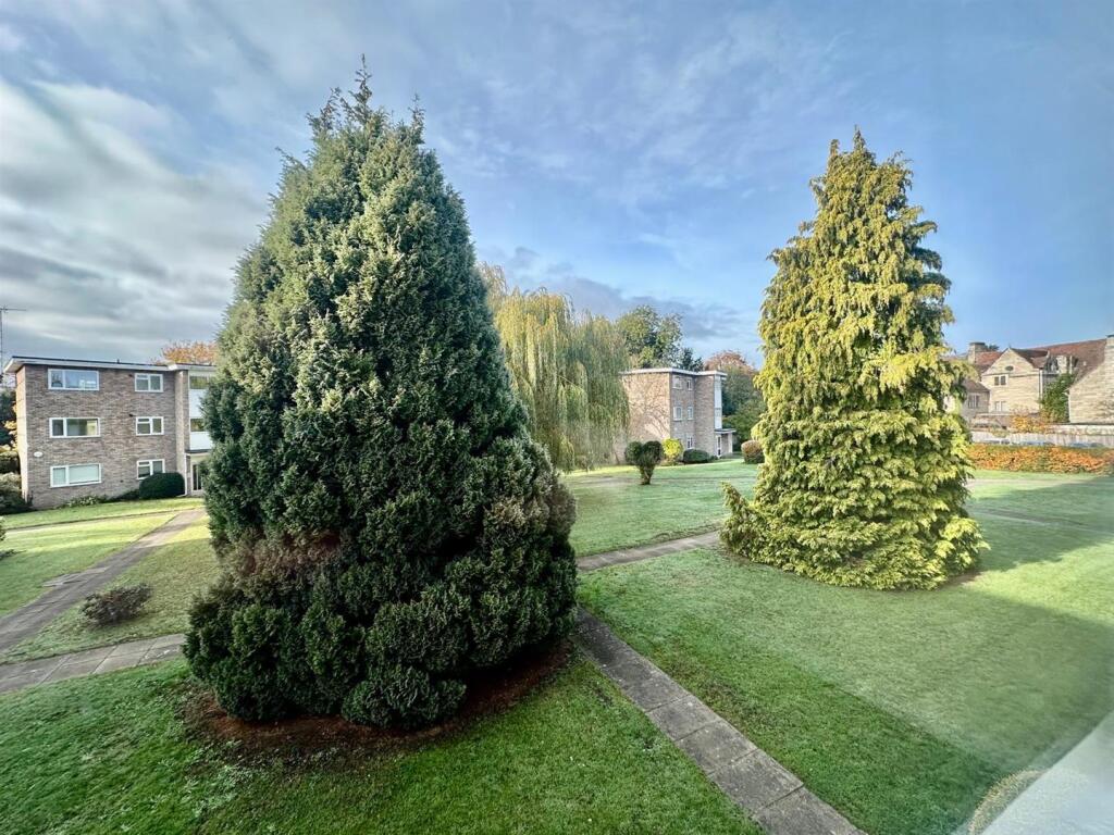 WhatsApp Image 2025-10-30 at 12.32.13_5f867a84.jpg