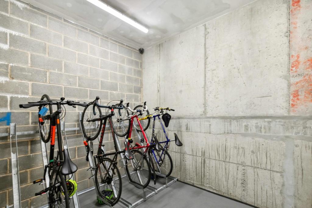 Bike Store.jpg