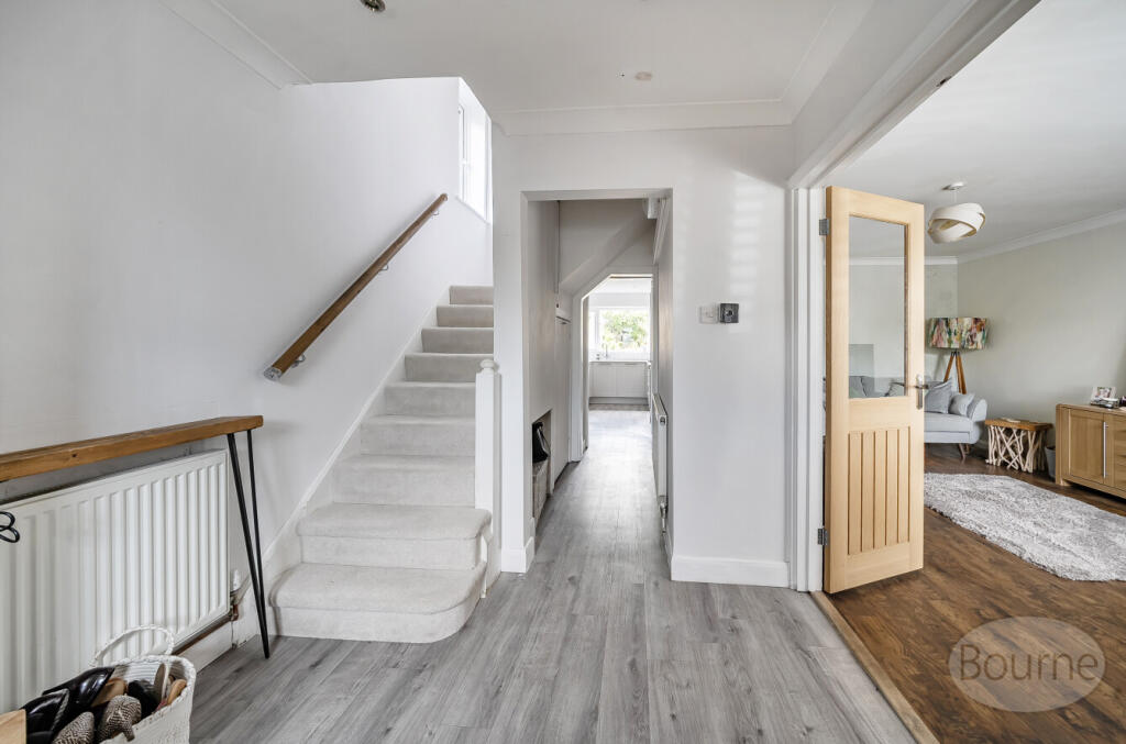 540abb54-42c7-4a5...