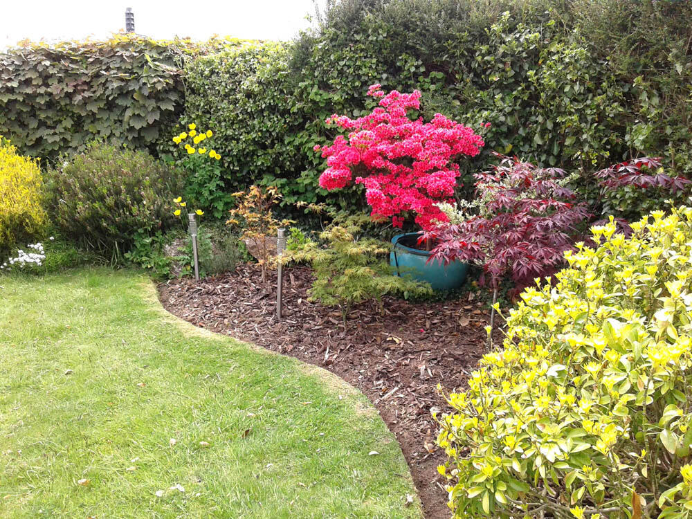Front garden