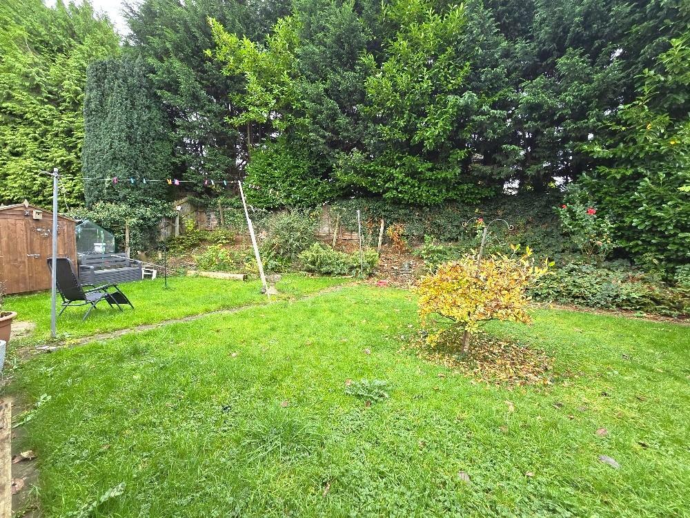 Rear Garden.jpg