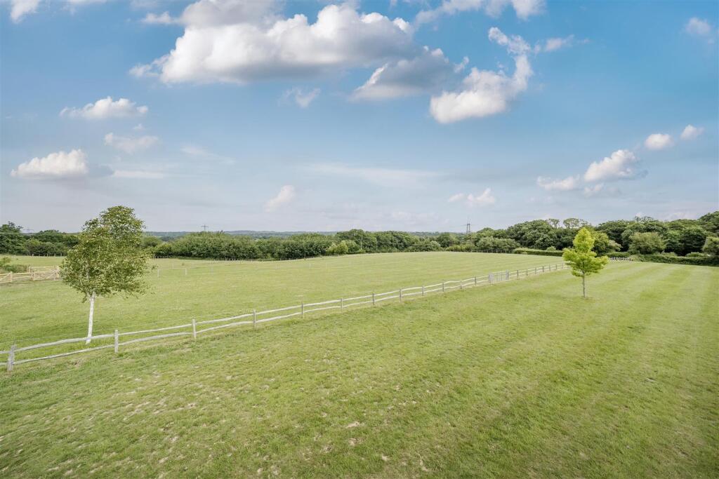 Pasture
